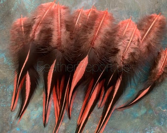 Rooster Craft Feathers Salmon Laced Rooster Saddle Peach Black Tying Feathers for Crafts x 12