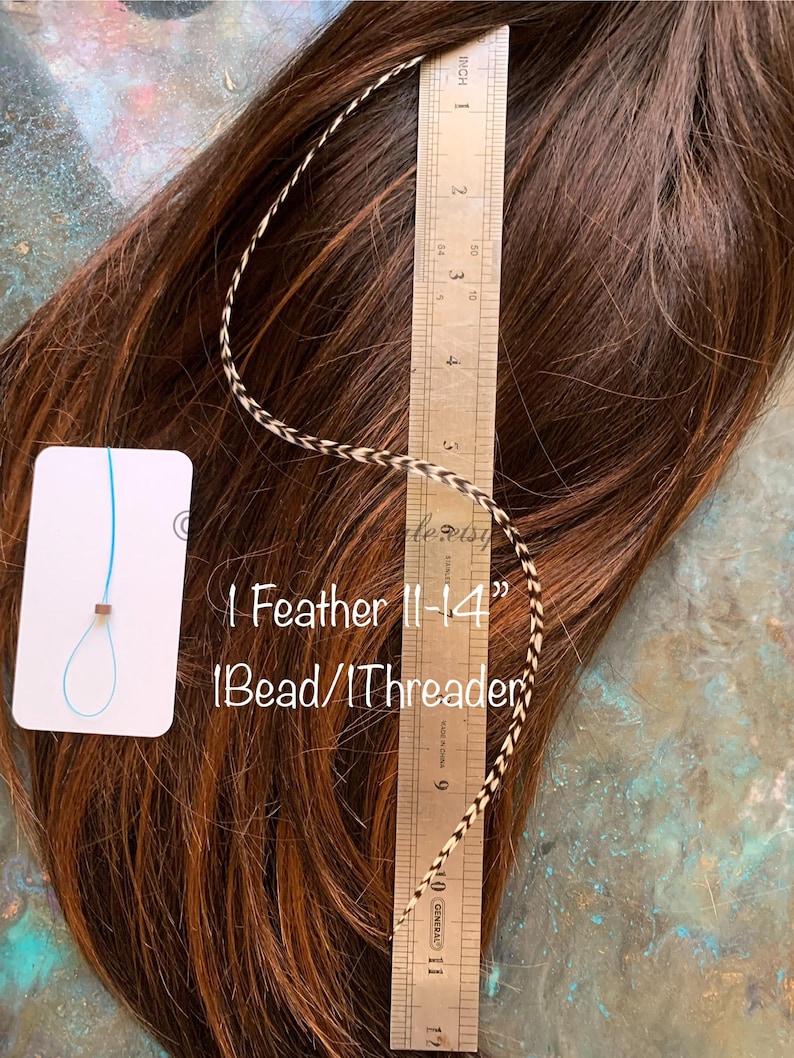 picture of one single grizzly feather laying against a 12inch silver ruler and on top of a brown wig