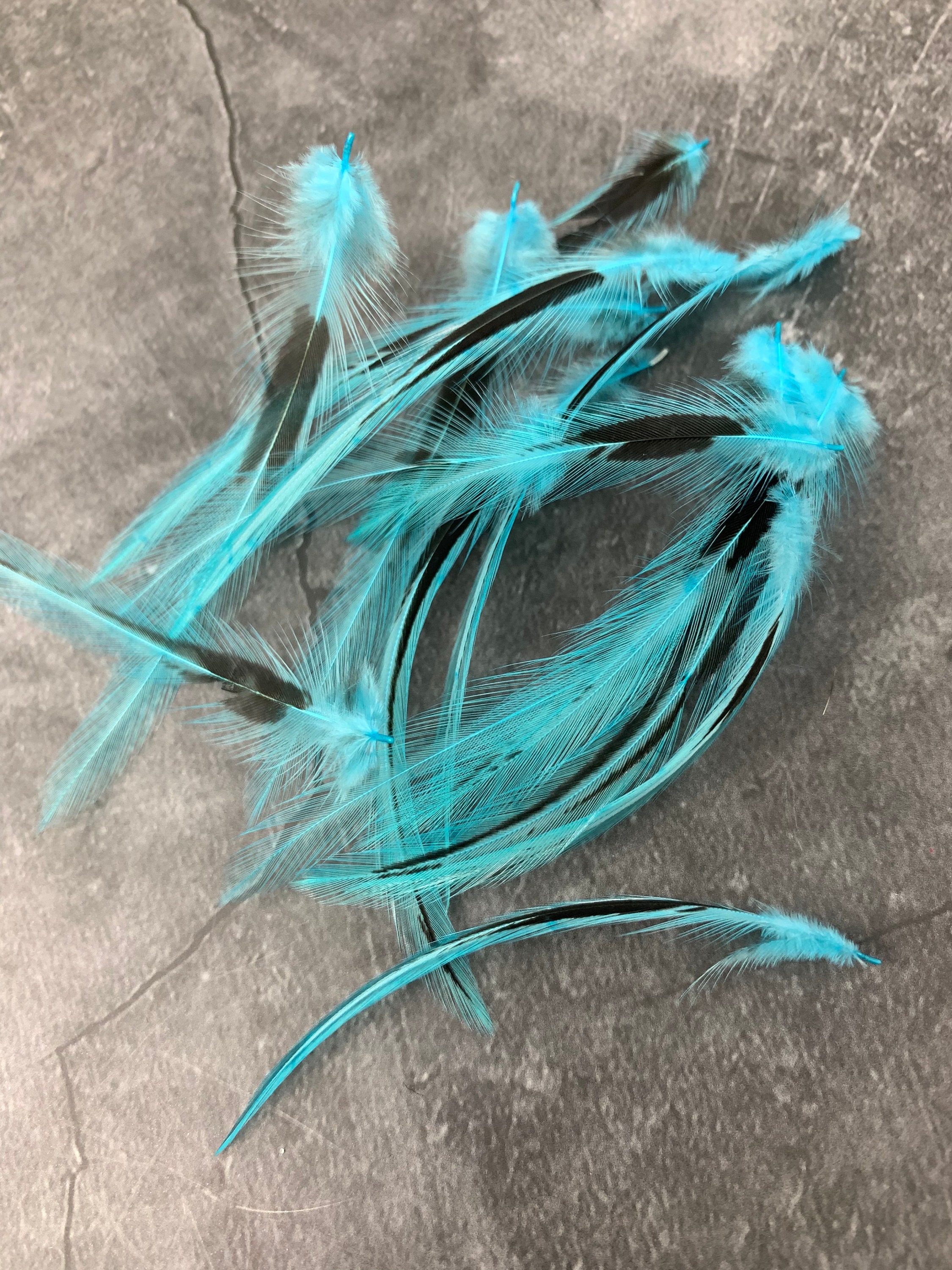 Pequeñas plumas turquesas para artesanías micro artesanía | Etsy