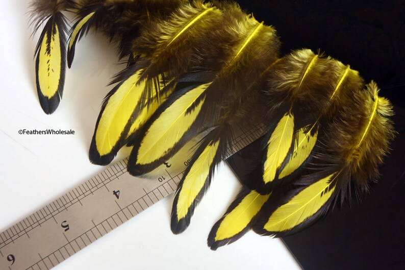 Yellow Craft Feathers FL Lemon Yellow Feathers for Crafts Etsy Sweden