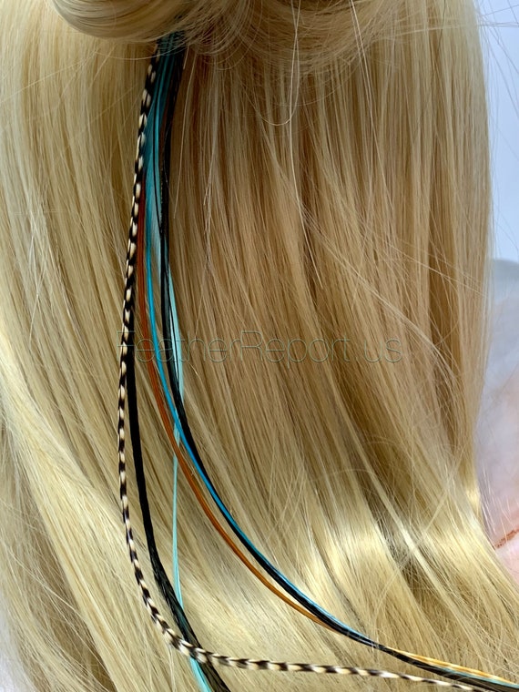 Turquoise Hair Feather Extension Bonded Hair Accessory Brown - Etsy Australia Turquoise Hair Feather Extension Bonded Hair Accessory Brown - Etsy Australia