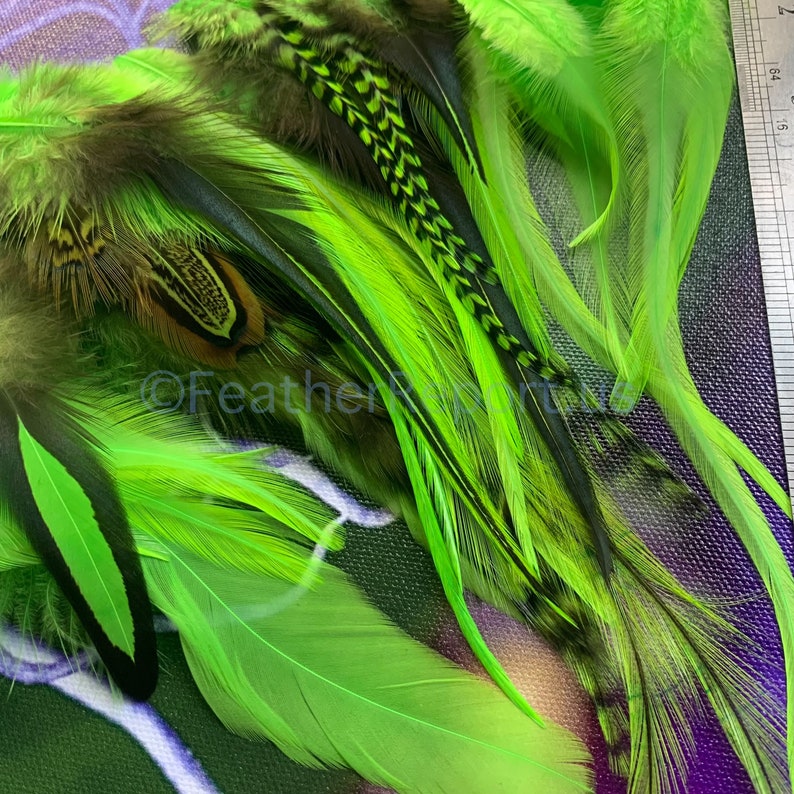Kelly Green Bulk Feathers for Crafts CDL American Pheasant Rooster Chicken Feathers Arts and Crafts Feathers Fly Tying Variety Pack of 50 image 7