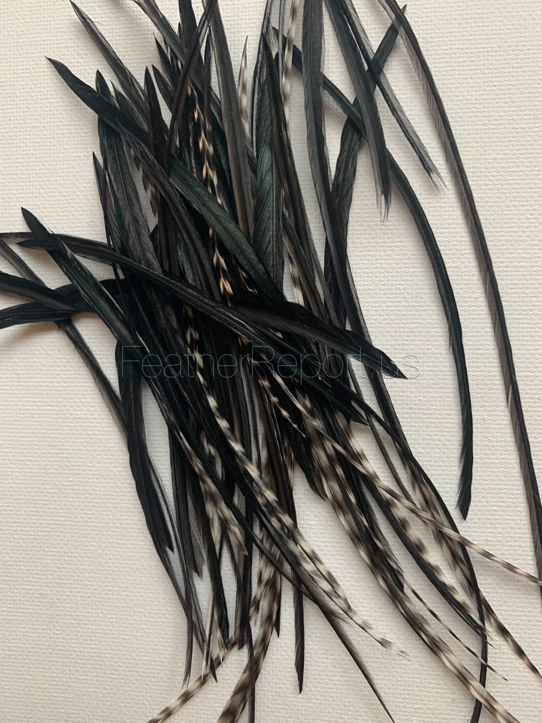 Craft Earring Feathers Black Grizzly Variant Short Rooster Hackle Fly