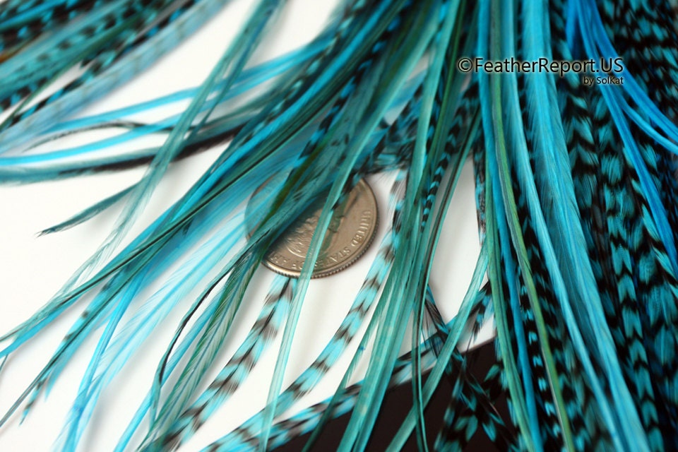 Aqua Turquoise Feather Hair Extensions 10 Long Hair Feathers Etsy