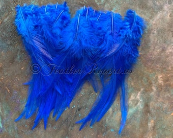 Blue Craft Feathers Bulk Feathers for Crafts 50 Saddle Feathers Soft Chinese Rooster Saddles Trimmed and Groomed Blue Feather Popular Color