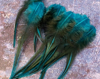 Teal Rooster Feathers Craft Supplies Teal Blue Laced Saddle Feathers 1DOZ