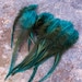 see more listings in the Rooster Craft Feathers section