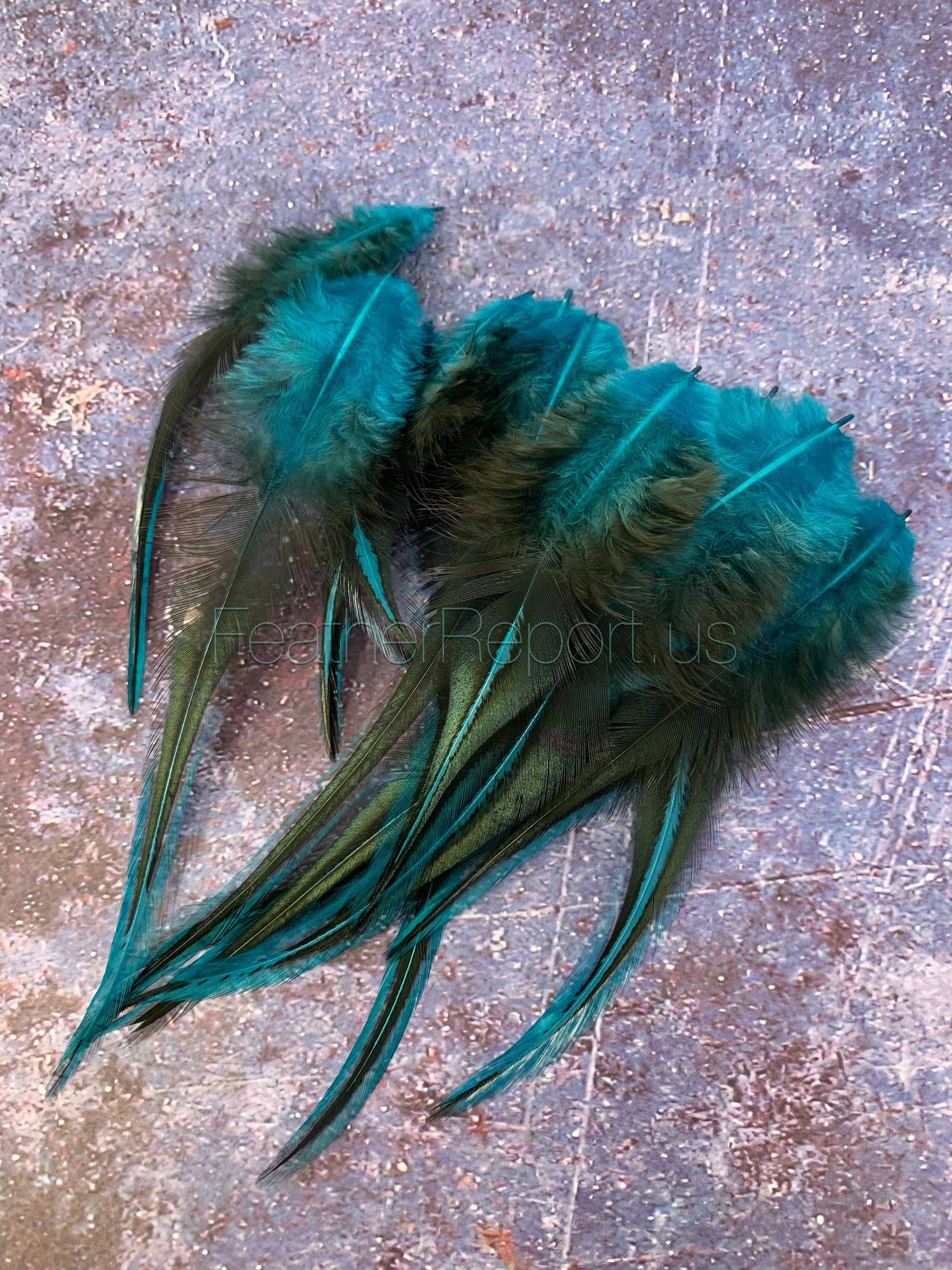 Curling Feathers - The Feather Place  Feather crafts, Feather jewelry, Peacock  crafts