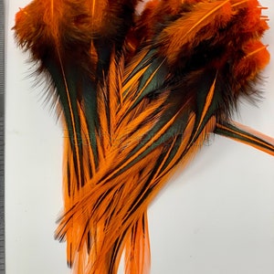 Orange Rooster Feather Craft Supplies Black Laced Bright Orange Saddle Feathers Fly Tying Hat Decorating Plumes