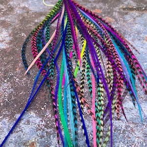Bulk Hair Feathers Popular Colors Long Feather Extensions Rainbow Blue Violet Pink Natural Grizzly Turquoise Feather Hair Extensions x 50