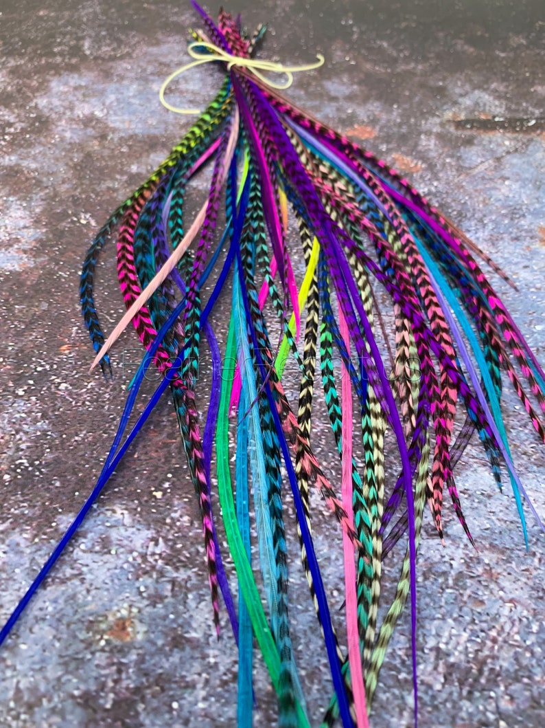 Bulk Hair Feathers Popular Colors Long Feather Extensions Rainbow Blue Violet Pink Natural Grizzly Turquoise Feather Hair Extensions x 50 image 1