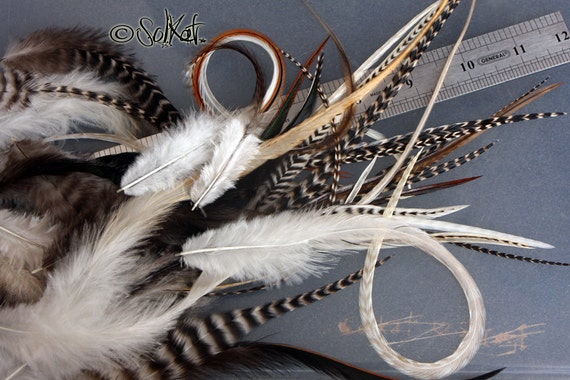 Bulk Natural Craft Feathers DIY Extensions Earrings Real Rooster Feathers  Fly Tying Jewelry Making 100 2-12inch 
