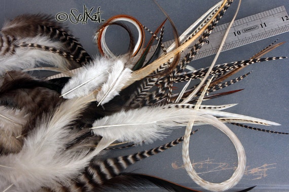 Bulk Natural Craft Feathers DIY Extensions Earrings Real Rooster