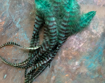 Ivy Green Rooster Craft Feathers Grizzly Jewelry Feathers Saddle Feathers Assorted Feathers 12 per pack