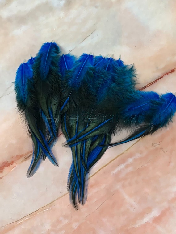 Blue Craft Feathers Laced Rooster Saddle Feathers for Crafts Hat Feathers  Fly Fishing Materials Bright Blue Feathers 12PCS -  Canada