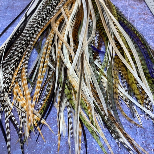 Bulk Feather Extensions 100 Hair Feathers Wholesale Natural Real Rooster shops Feathers Grizzly White Dunn Gray Black 8-14inch or XXL