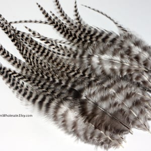 Craft Feathers Grizzly Rooster Feathers Striped Feathers Zebra Feathers Black White Feathers Natural Feathers Craft Supplies and Tools 24PCS