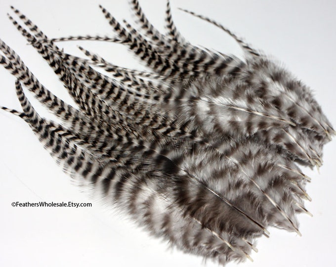 Craft Feathers Grizzly Rooster Feathers Striped Feathers Zebra Feathers