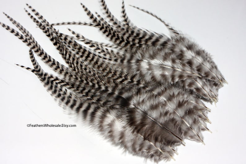 Craft Feathers Grizzly Rooster Feathers Striped Feathers Zebra Etsy