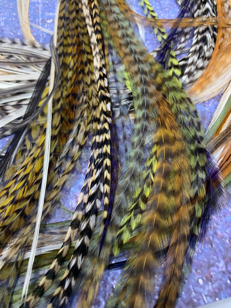 Bulk Feather Extensions 100 Hair Feathers Wholesale Natural Etsy
