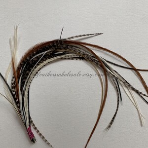 Puede incluir: Un manojo de plumas marrones, blancas y negras atadas con una cuerda rosa. Las plumas son largas y fluidas, y ser&iacute;an perfectas para agregar un toque de fantas&iacute;a a un proyecto artesanal o un accesorio para el cabello.