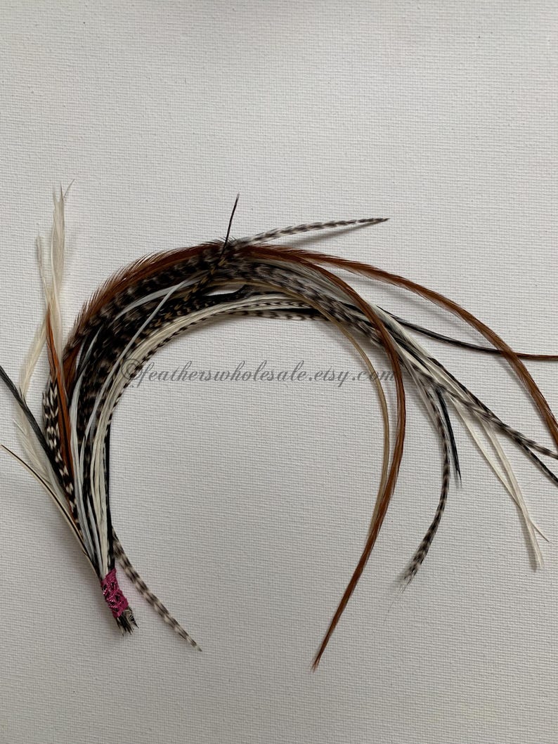 Puede incluir: Un manojo de plumas marrones, blancas y negras atadas con una cuerda rosa. Las plumas son largas y fluidas, y ser&iacute;an perfectas para agregar un toque de fantas&iacute;a a un proyecto artesanal o un accesorio para el cabello.