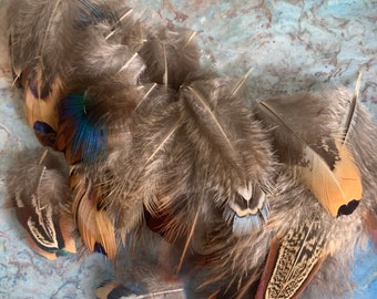 Pheasant Tippet Feathers: Natural Plumes for Crafting, Earrings, Fly Tying - 30 Pieces