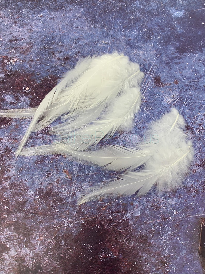 White Feathers diy Wedding Accessories Cream White Craft Feathers Natural Bird Feathers Rooster Feathers White Bridal Decor QTY12 image 2