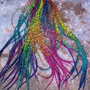 Bulk All Grizzly Hair Feather Extensions Extra Long Real Hair Extension Plumas Colored Rainbows Tons of beautiful Quality rooster saddle