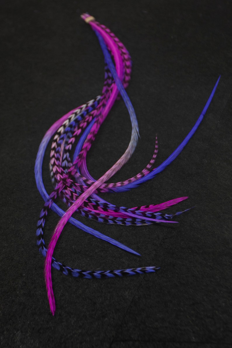 May include: A set of colorful feathers in shades of pink, purple, and blue. The feathers are arranged in a loose, flowing pattern, with the tips of the feathers pointing in different directions. The feathers are likely for hair extensions or other craft projects.
