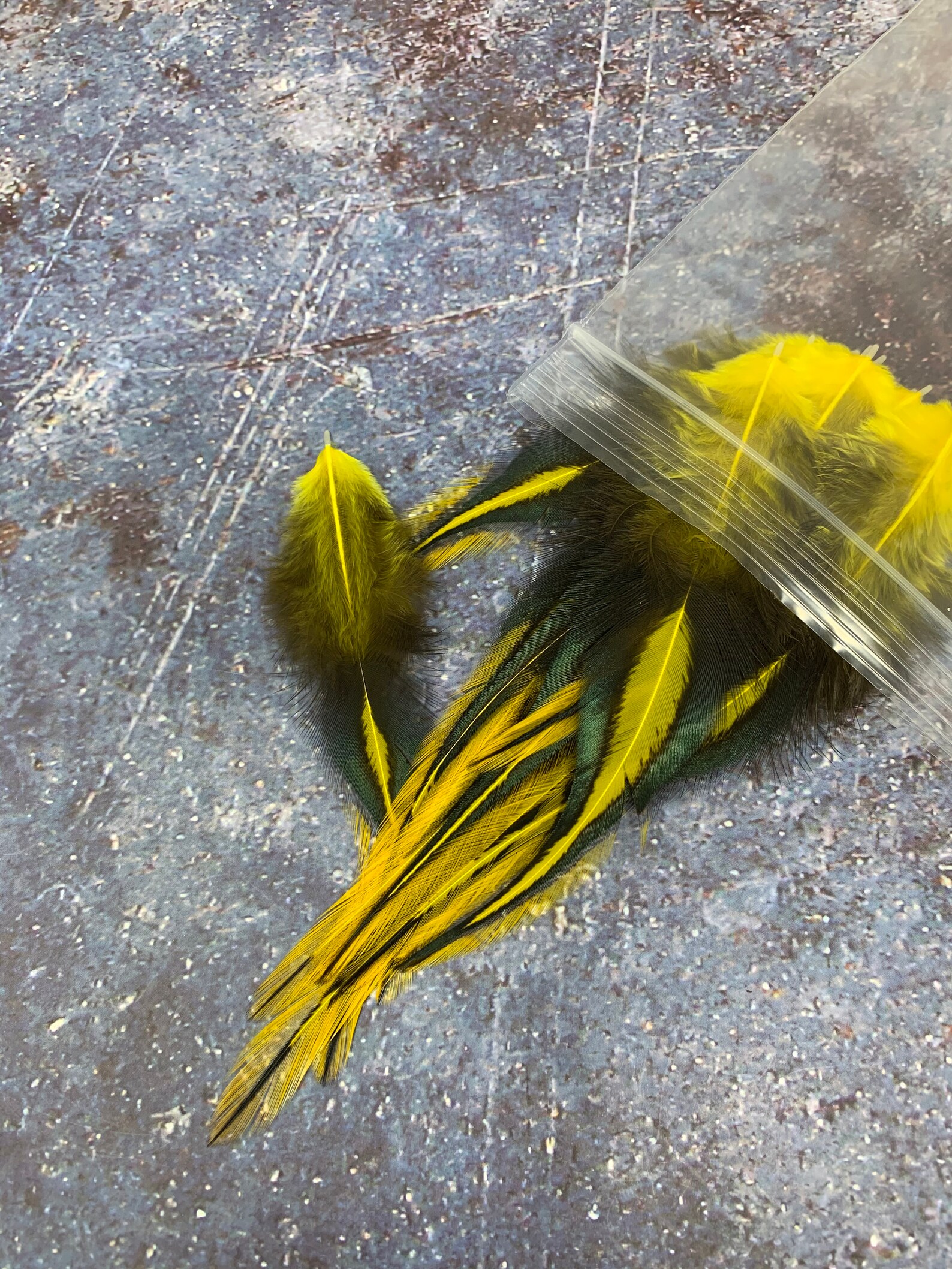 Yellow Craft Feathers Black Laced Yellow Feathers Rooster Etsy