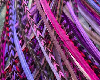 May include: A bundle of long, colorful feathers in shades of pink, purple, and blue. The feathers have black markings and are arranged in a random pattern.