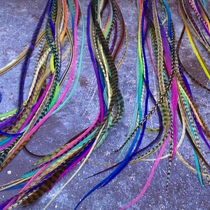 May include: A set of five colorful feather hair extensions with silver rings. The feathers are long and flowing, with a variety of colors, including pink, blue, green, purple, and yellow.