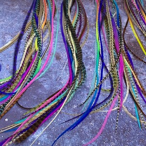 Long Feathers for Hair Extensions Rainbow Natural Mix of 20 Premium Quality XXL Hair Feathers Blues Purples Pinks Grizzly Solid 14to17inches