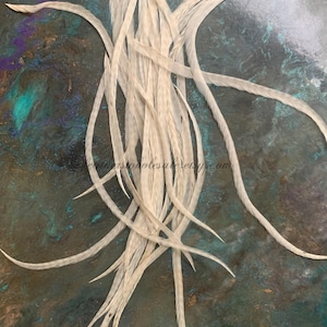 Ghost Barred Natural Hair Feathers White with Faint barring Earring Craft Feathers Wide Pack of 22 7to13inch