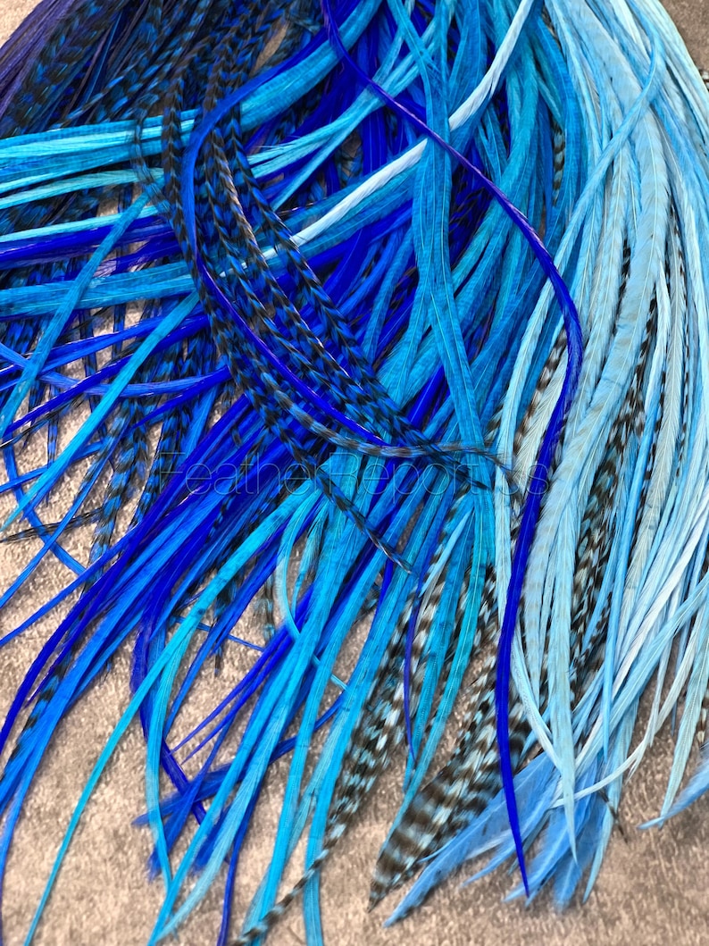 Blue Feather Hair Extensions Long Rooster Feathers for Hair Etsy