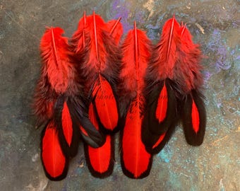 Lollipop Red Small Craft Feathers 2to4inch Black Laced Hen Saddle Pack of 13