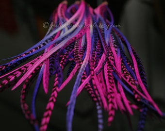 Pink Purple Ombre Feather Hair Extensions: Real Rooster Feathers (10 pc)