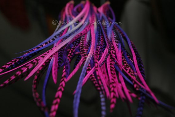 Pink Purple Ombre Feather Hair Extensions: Real Rooster Feathers (10 pc)