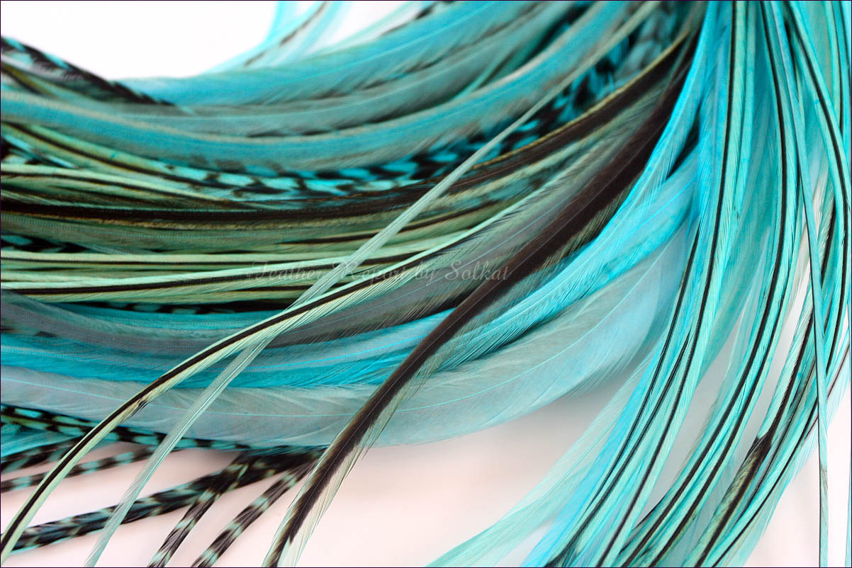 Aqua Turquoise Feather Hair Extensions 10 Long Hair Feathers