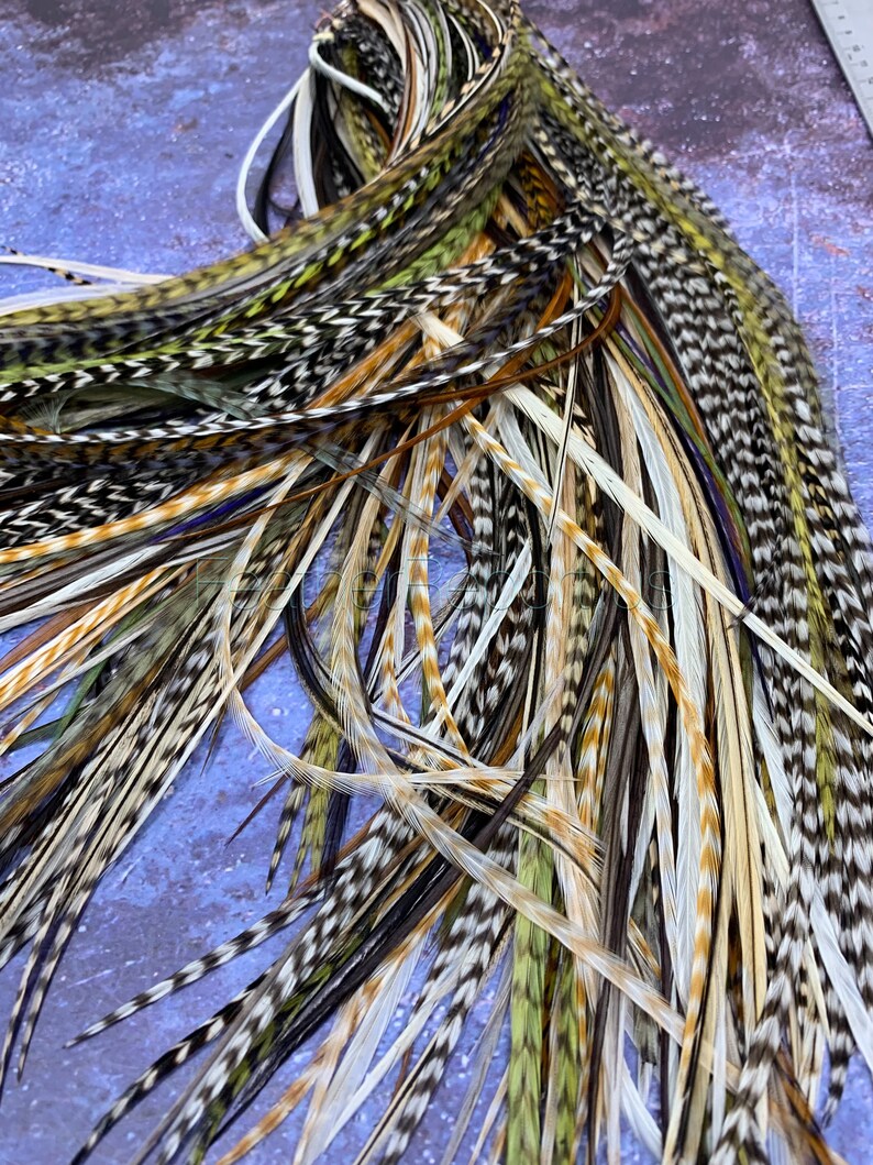 Bulk Feather Extensions 100 Hair Feathers Wholesale Natural Etsy