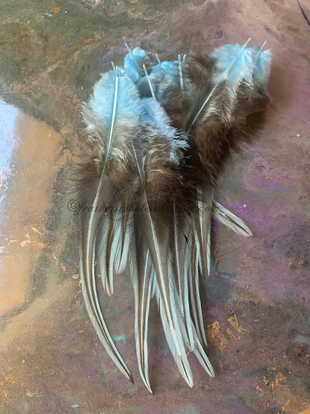 Sky Blue Laced Rooster Feathers Craft Supplies Pack of 12 4to7inch ...
