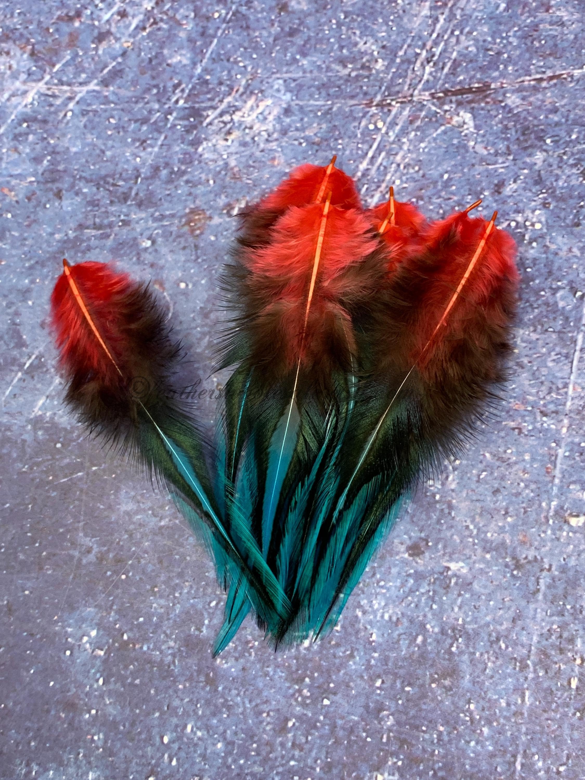 Red Blue Craft Feathers Wholesale Poppy Aqua Blue Laced Rooster