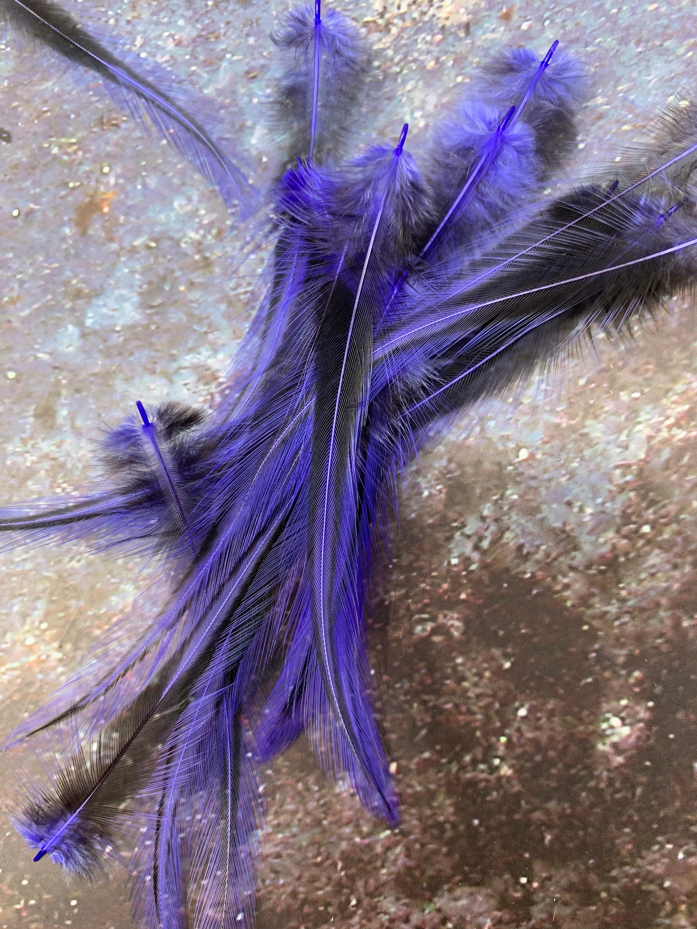 Violet Craft Feathers Purple Laced Rooster Saddle Feathers for Crafts  Decorating Purple Feathers for Earrings 12 per Pack 