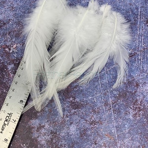 White Feathers diy Wedding Accessories Cream White Craft Feathers Natural Bird Feathers Rooster Feathers White Bridal Decor QTY12 image 3