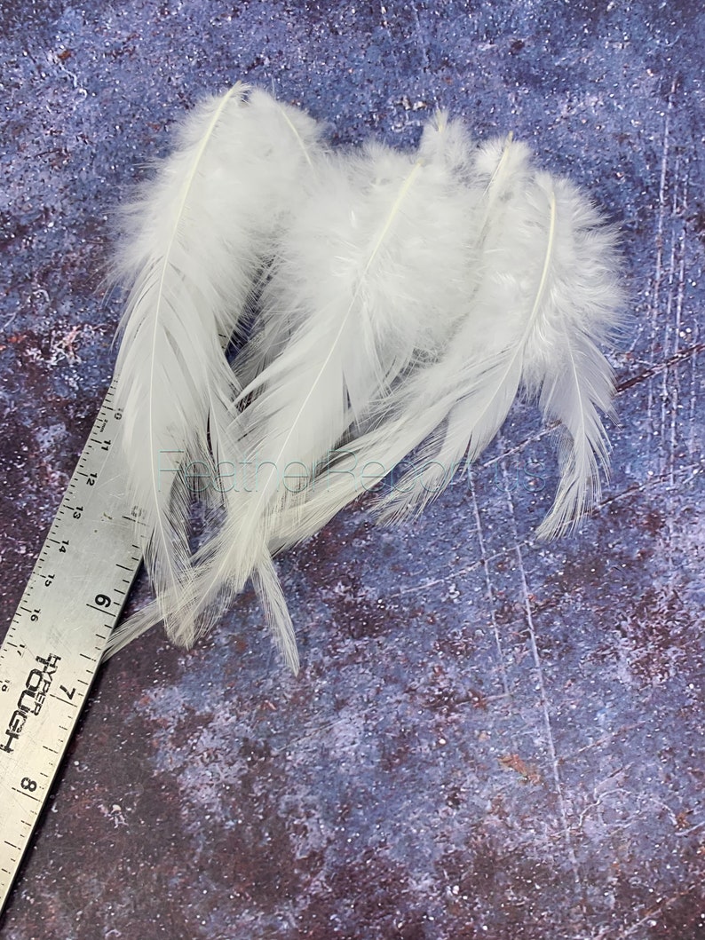 White Feathers diy Wedding Accessories Cream White Craft Feathers Natural Bird Feathers Rooster Feathers White Bridal Decor QTY12 image 3