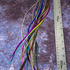 Long Feathers for Hair Extensions Rainbow Natural Mix of 20 Premium Quality XXL Hair Feathers Blues Purples Pinks Grizzly Solid 14to17inches