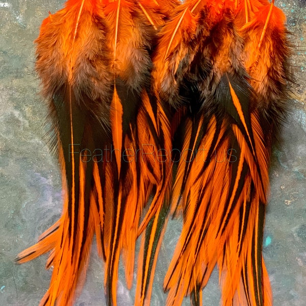 Orange Laced Rooster Saddle Feathers Craft Supplies, Fly Tying, Hat Decor (x12)