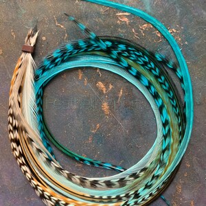 Puede incluir: Un conjunto de plumas de color turquesa, blanco y negro con un clip marr&oacute;n. Las plumas est&aacute;n dispuestas en c&iacute;rculo.