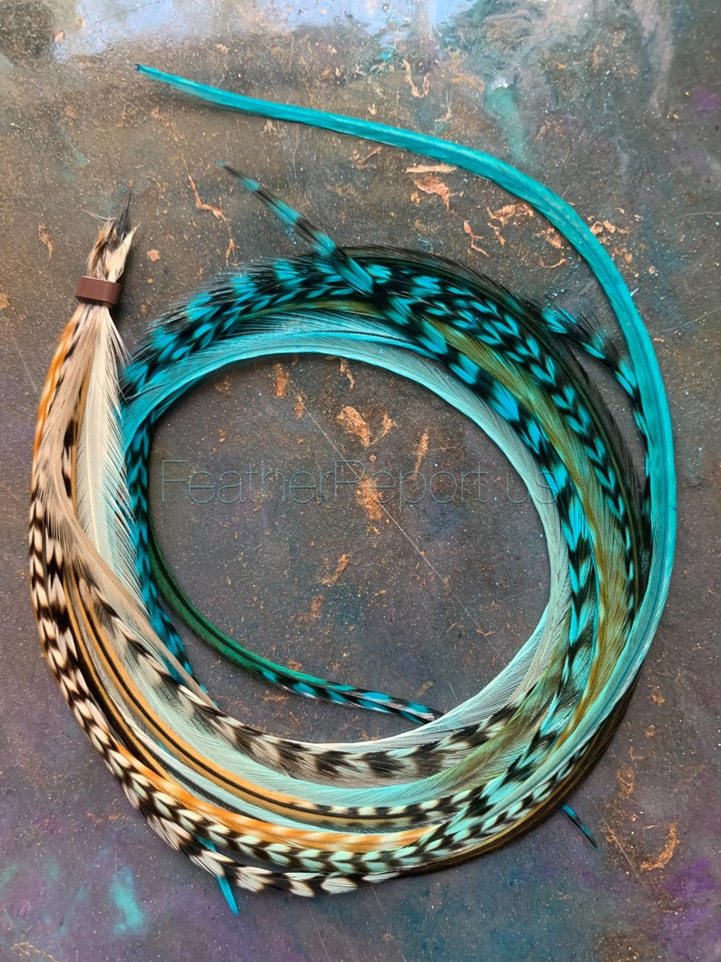 Puede incluir: Un conjunto de plumas de color turquesa, blanco y negro con un clip marr&oacute;n. Las plumas est&aacute;n dispuestas en c&iacute;rculo.